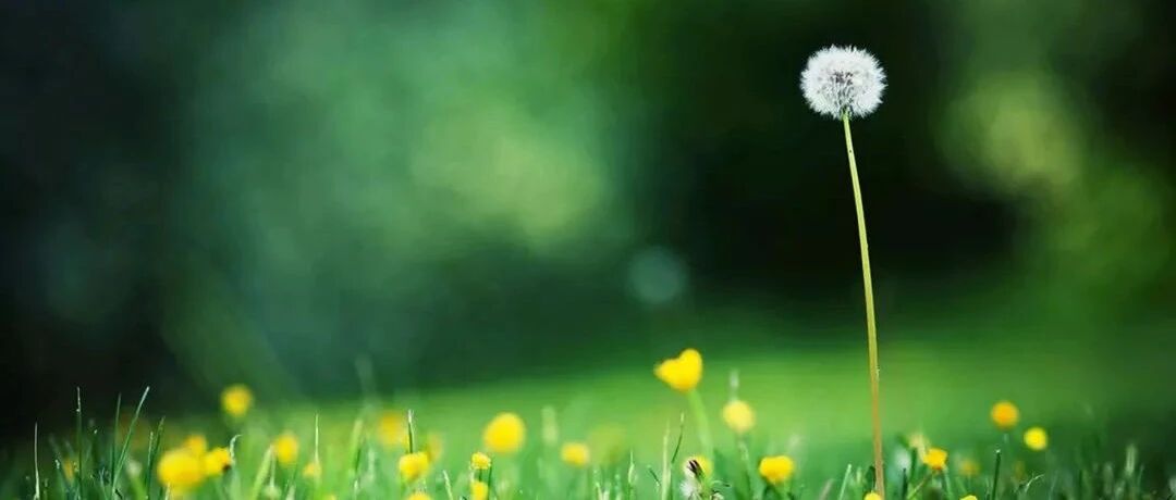 发几个幽默笑话，够你笑到2021年，哈哈哈！