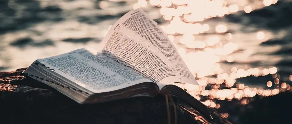 2021最狠的五个段子！（太幽默了）