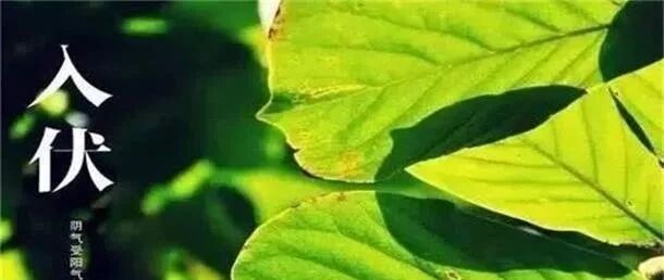 2020三伏时间表：最易生病的40天快来了，不论男女都要这样做！