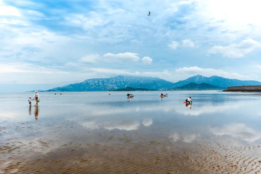 挖蛤蜊吃海鲜赏民俗快来第十七届青岛城阳红岛蛤蜊节收好这份游玩攻略