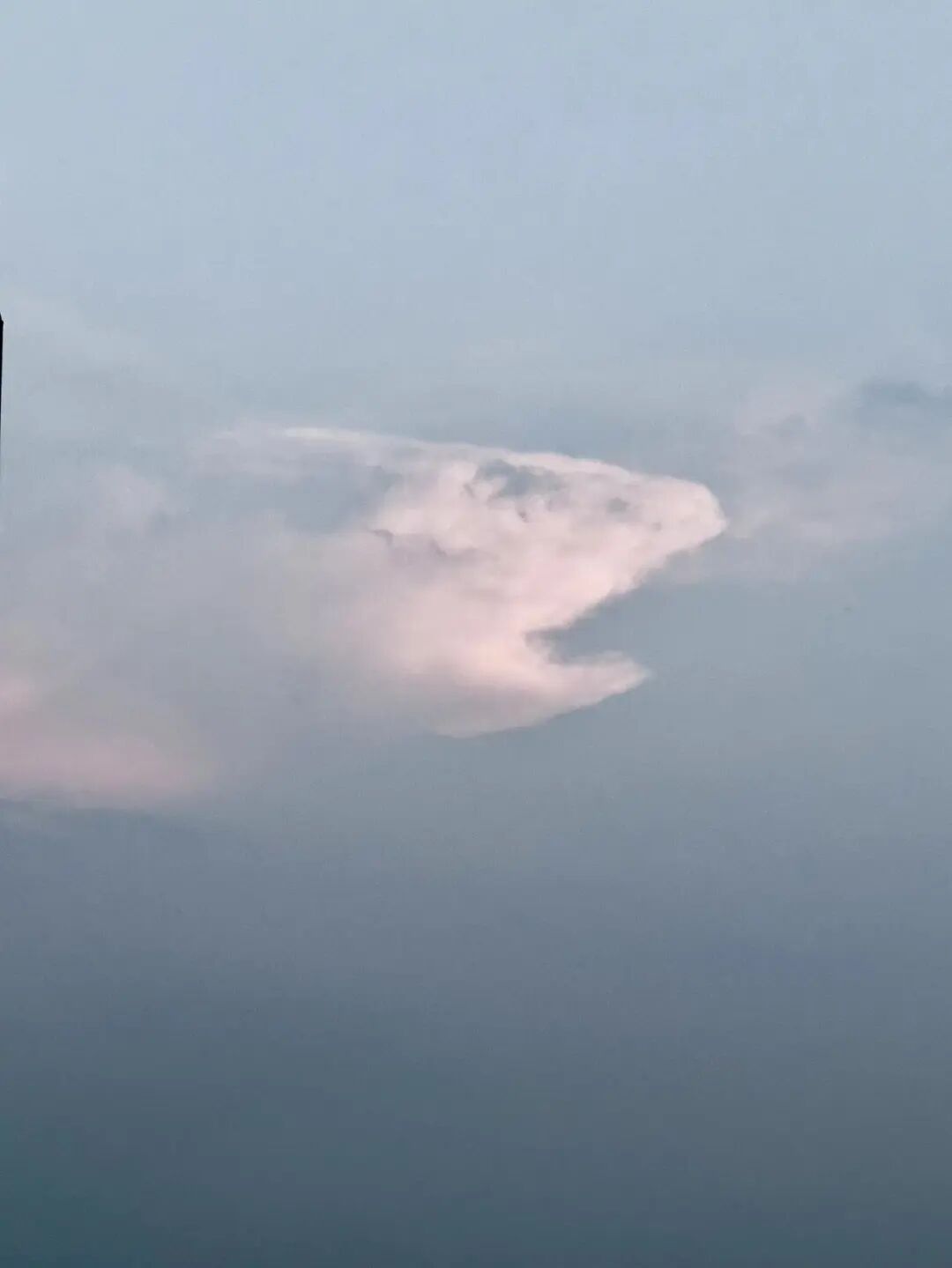 ^_^：空中有朵“鱼”做的云。麝香百合：湛河桥上拍的晚霞美景。顺其自然: