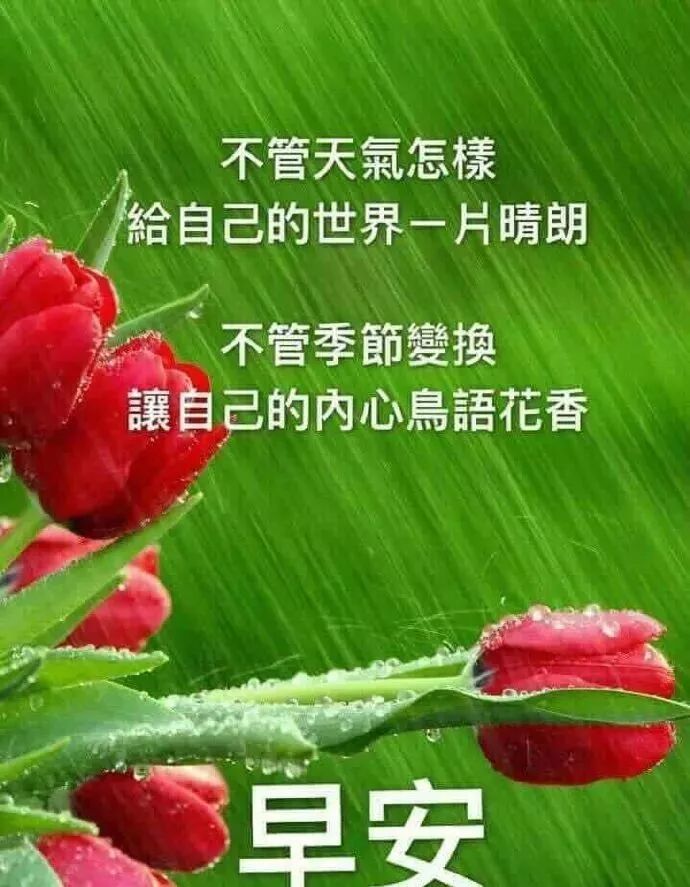 2019微信最漂亮早安问候祝福动态表情图片 暖心早安问候语祝福语短信 早安语录8 微信公众号文章阅读 Wemp