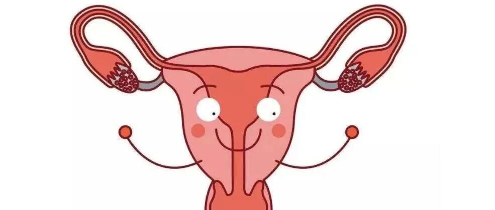 卵巢功能差怎么改善