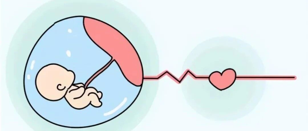 宝宝胎心胎芽一般几周会有