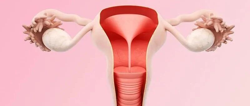 子宫回声不均匀严重吗