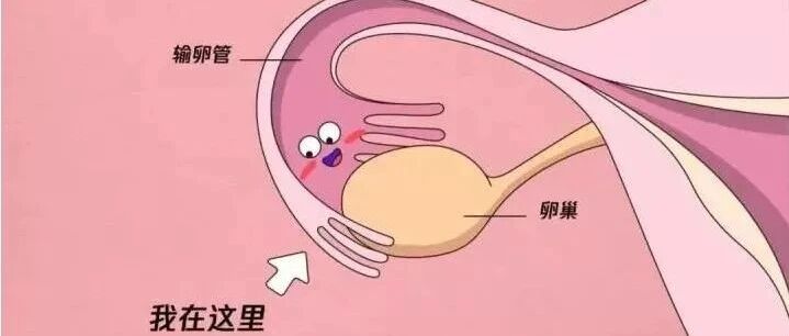 通输卵管最佳时间是什么时候?