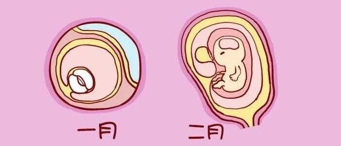 怀孕9周没有胎芽胎心