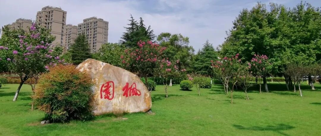 文章封面