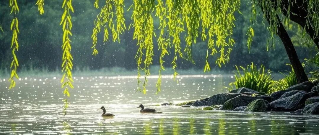 文章封面
