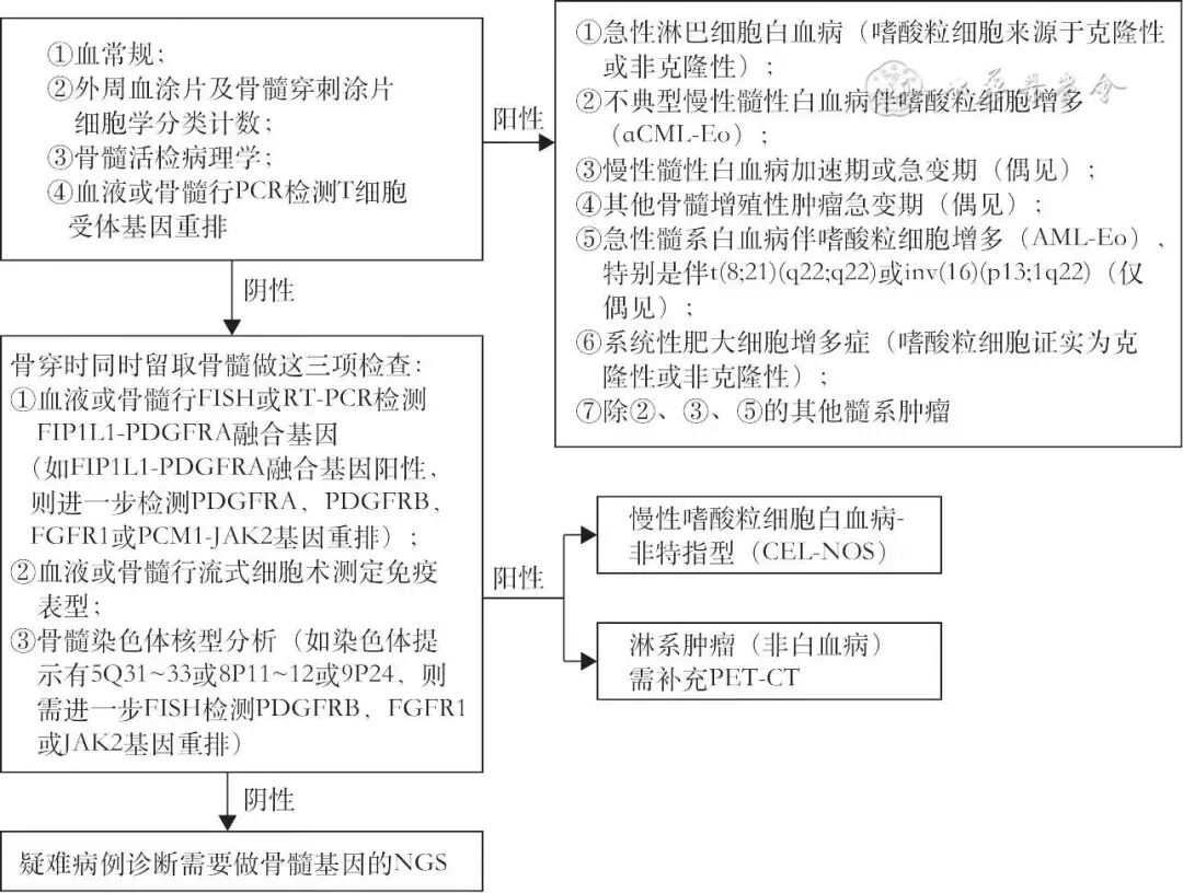 abp在医学是什么意思标准与规范丨嗜酸粒细胞增多相关性肺疾病诊疗中国专家共识_https://www.jmylbn.com_新闻资讯_第13张