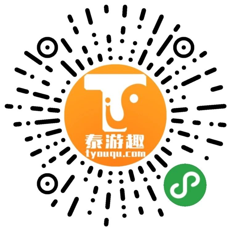 成都泰游趣科技有限公司