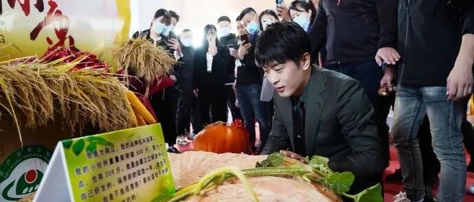 带动起步股份5个涨停后，又一家公司3.5亿引入快手一哥又涨停！深交所发出灵魂拷问……