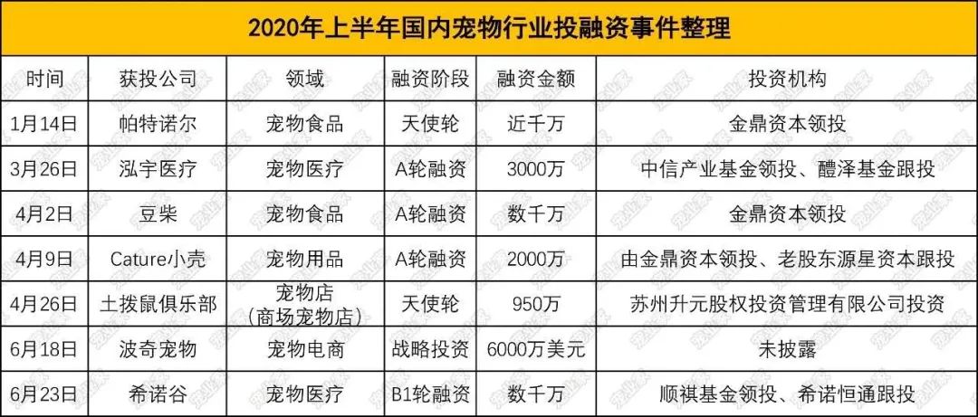 每5秒一場寵物直播 萌寵短視訊催生新經濟「養活」鏟屎官 寵物 第18張