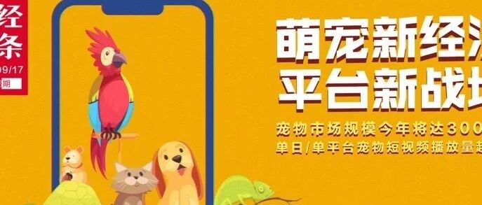 每5秒一场宠物直播 萌宠短视频催生新经济“养活”铲屎官