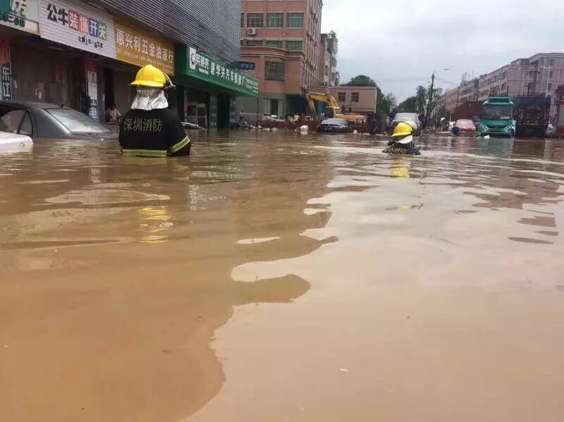 七氟丙烷灭火系统,ig541气体灭火设备,高压细水雾灭火系统