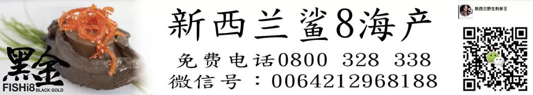 新西兰二手车私售最新信息 每周更新 自由微信 Freewechat