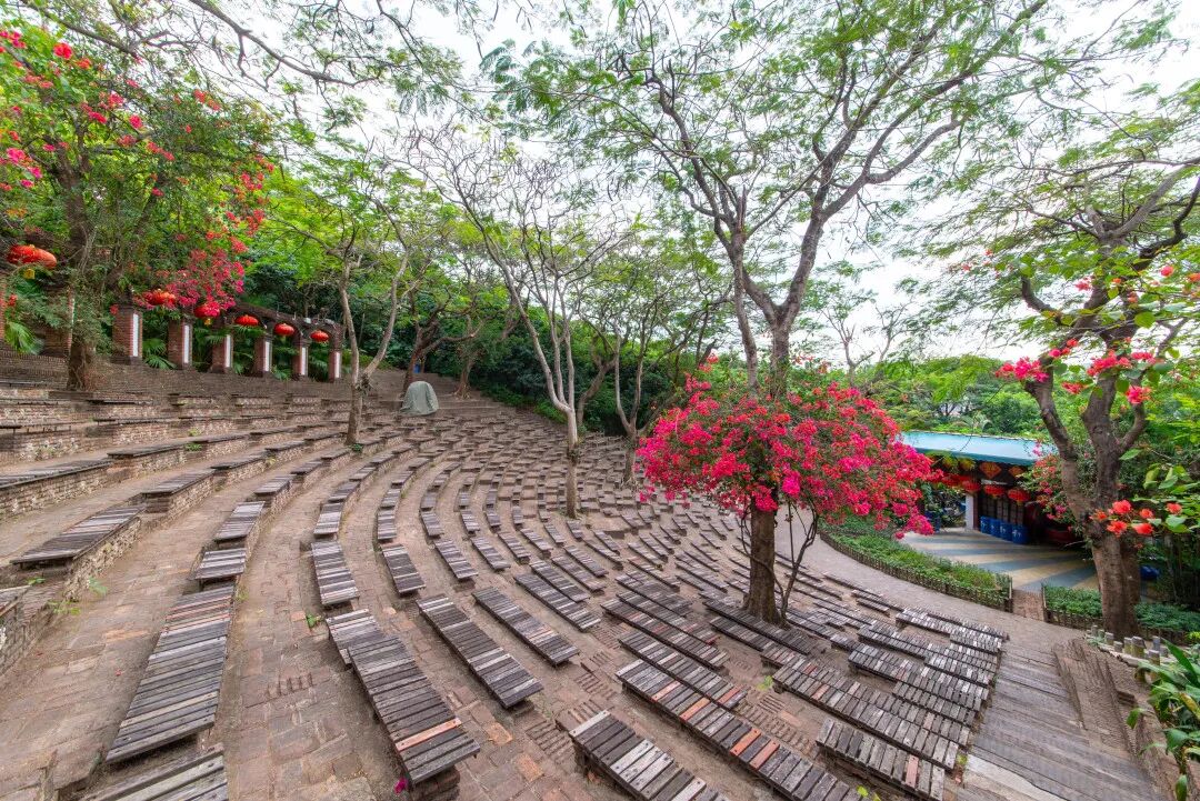 【节假日可用】深圳61青青世界!