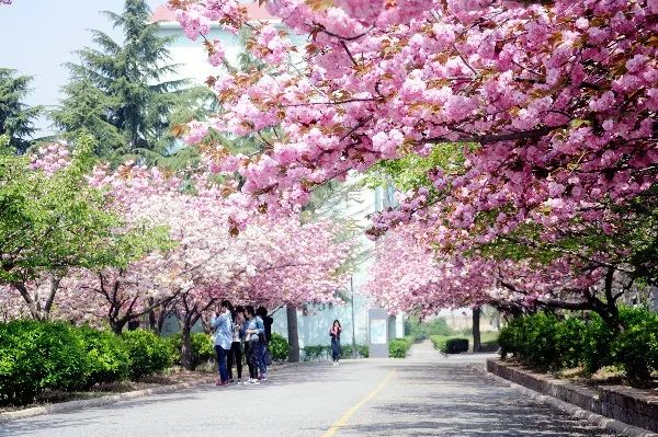 國立臺中教育大學_國立臺北教育大學好嗎_國立臺灣教育大學