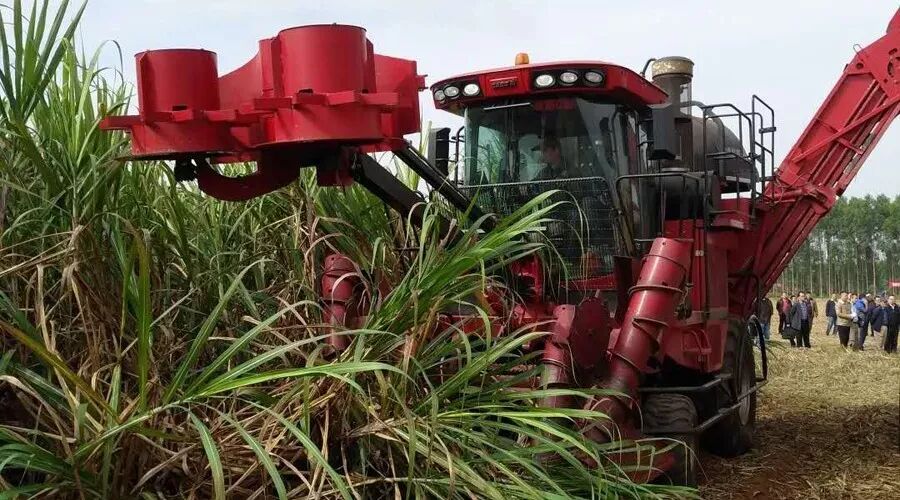 國(guó)外甘蔗收割機(jī)發(fā)展歷程，南京金順重工機(jī)械制造有限公司