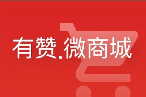 有赞.微商城小程序