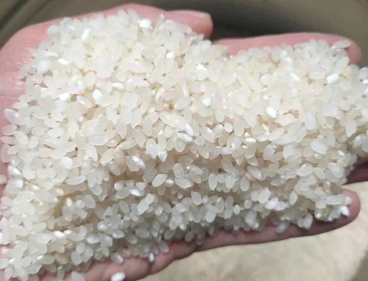 庆丰收尝新米宁洱同心第二届勐海田新米节等你来