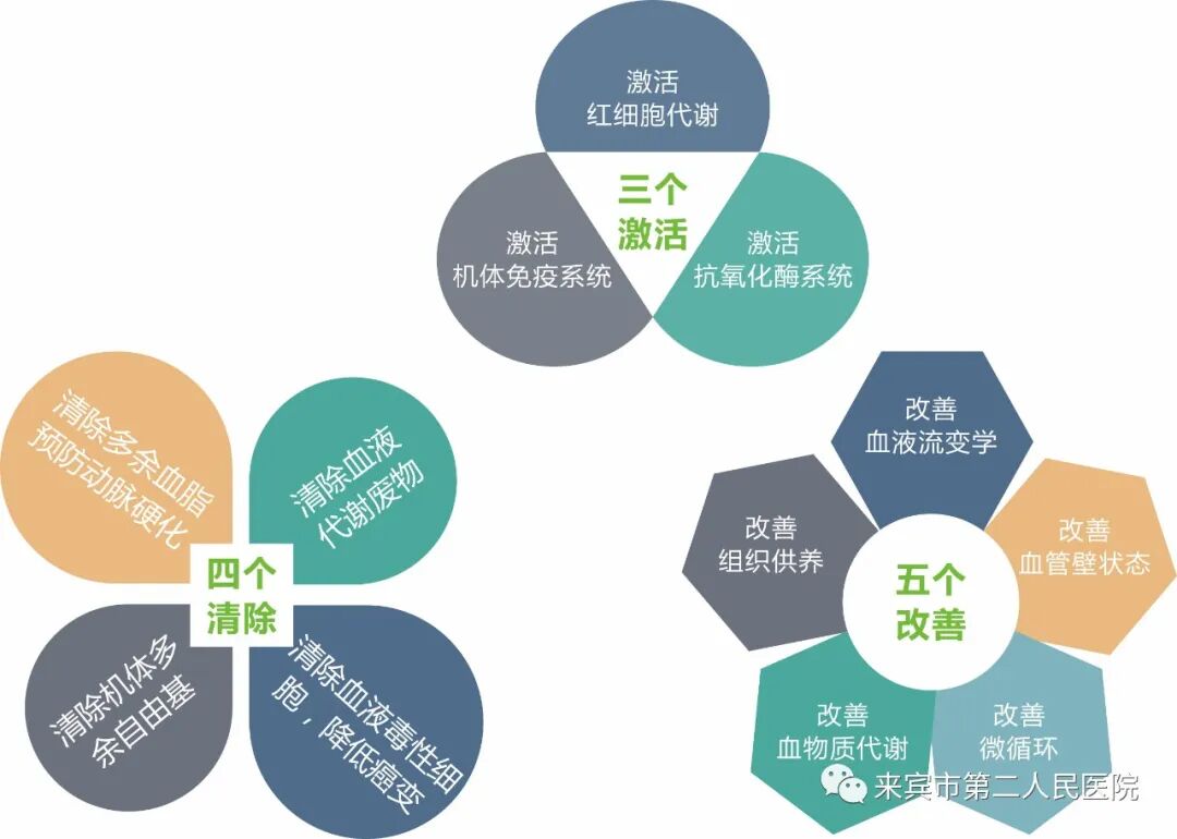 三氧疗法怎么代理来宾市第二人民医院——三氧大自血疗法_https://www.jmylbn.com_新闻资讯_第3张