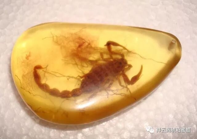揭露市场上一些假琥珀蜜蜡