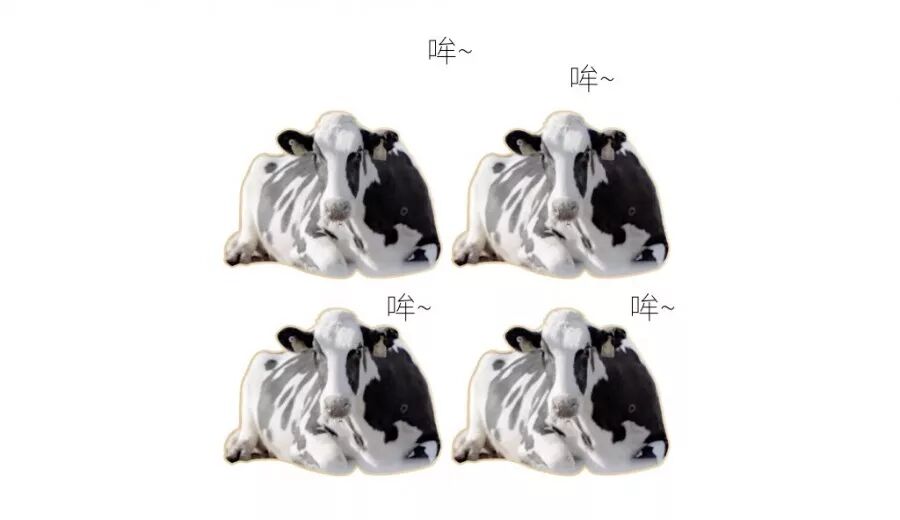 又双叒叕火炎焱燚读音_火炏焱燚是什么意思_四个火字燚的读音是什么