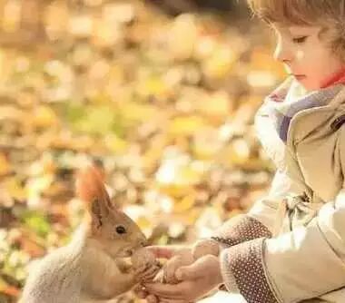 保护孩子的这些好奇心，孩子长大后更聪明