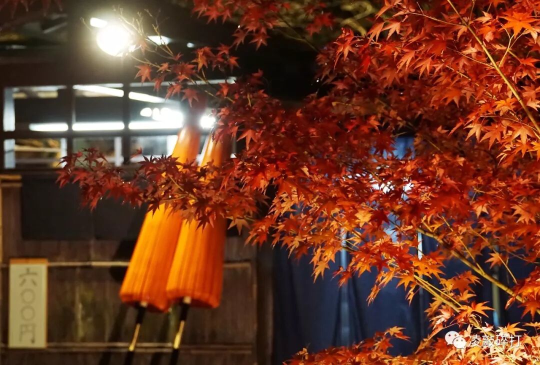 醉美 盲走 带你去看京都的秋色阑珊 箱依箱伴 微信公众号文章阅读 Wemp
