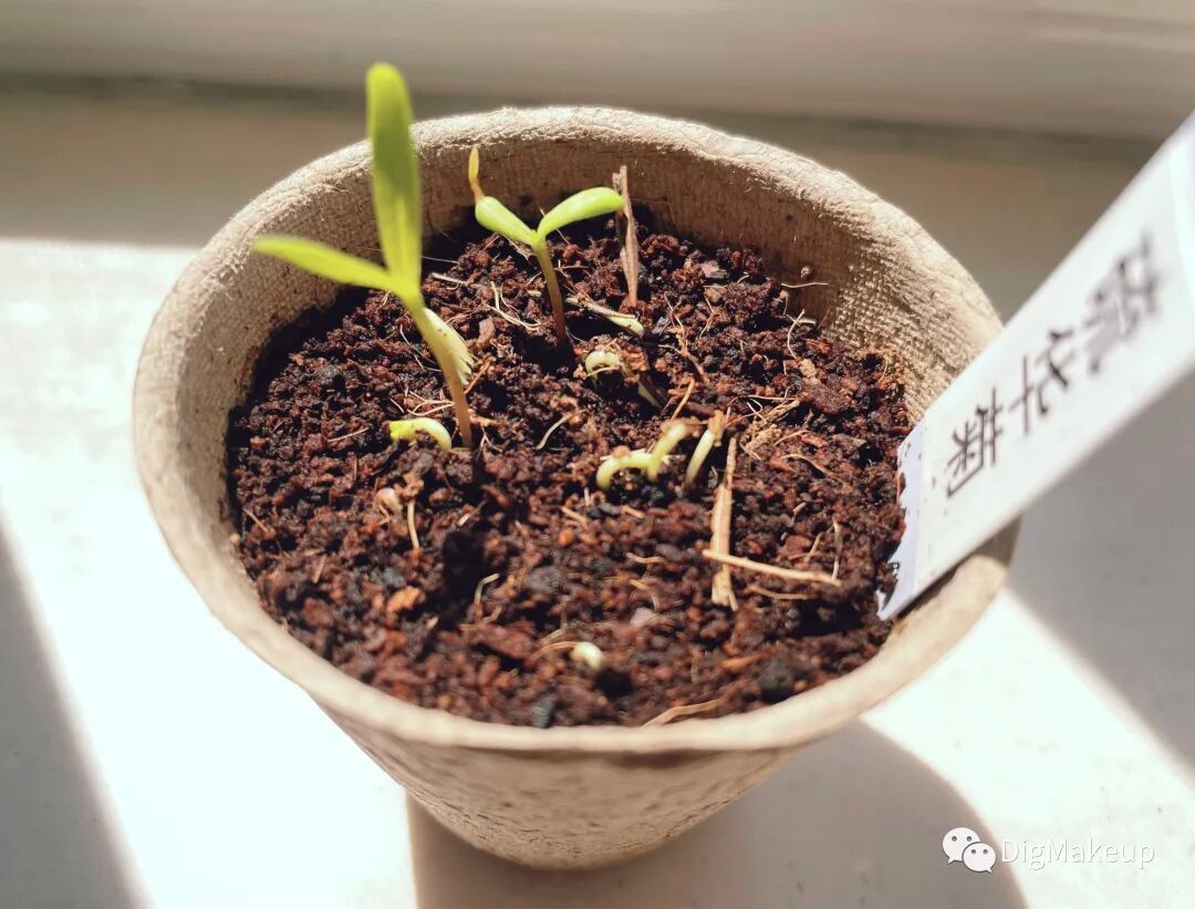 生活 | 一点邻里观察(所谓节日 也是平淡生活里的一天)