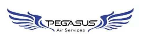 %name “隐形美貌人口”掀开神秘面纱，颜值实力双双在线