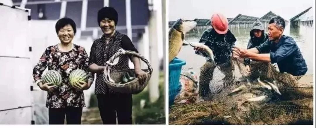 光伏扶貧在行動(dòng)