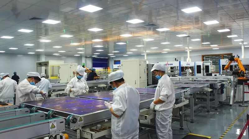 五星員工正在生產(chǎn)線上檢查雙玻光伏組件品質(zhì)