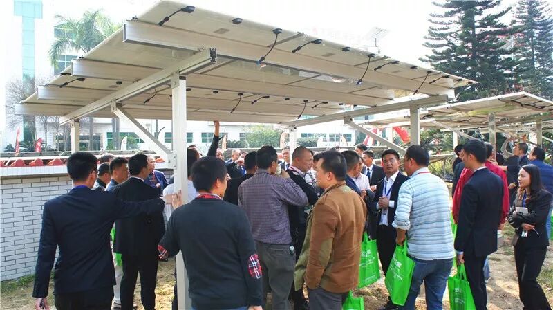 多样阳光棚，满足你更多需求