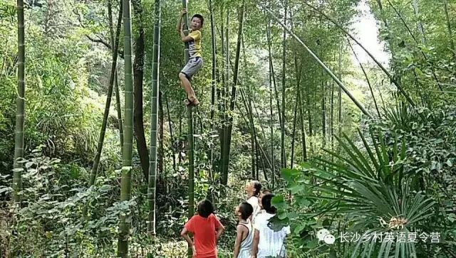 营地孩子户外合作