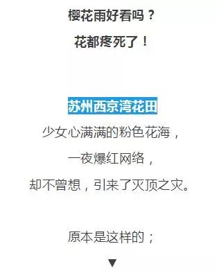 國內這些人間天堂相繼關閉，背後的原因令人心酸！ 旅行 第86張