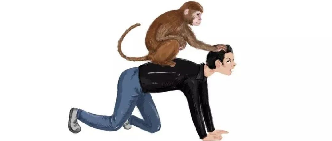 组织 | 领导没时间，下属没事做，管理者应该管什么？