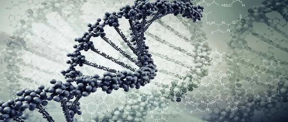 创新 | 创新型企业家有什么与众不同的特质？