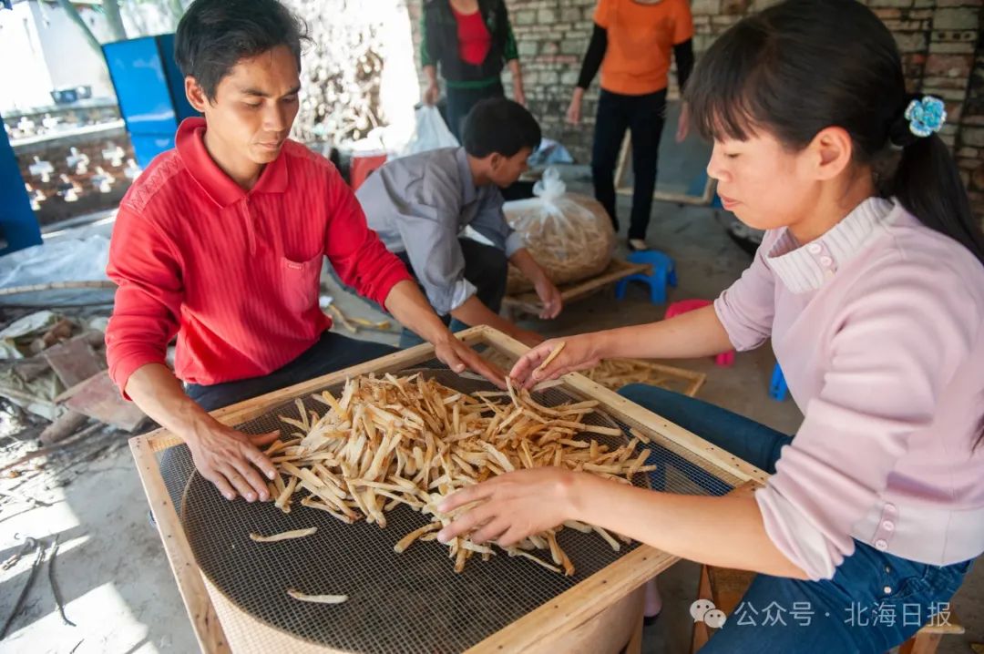 這篇推送，北海準(zhǔn)備了一年