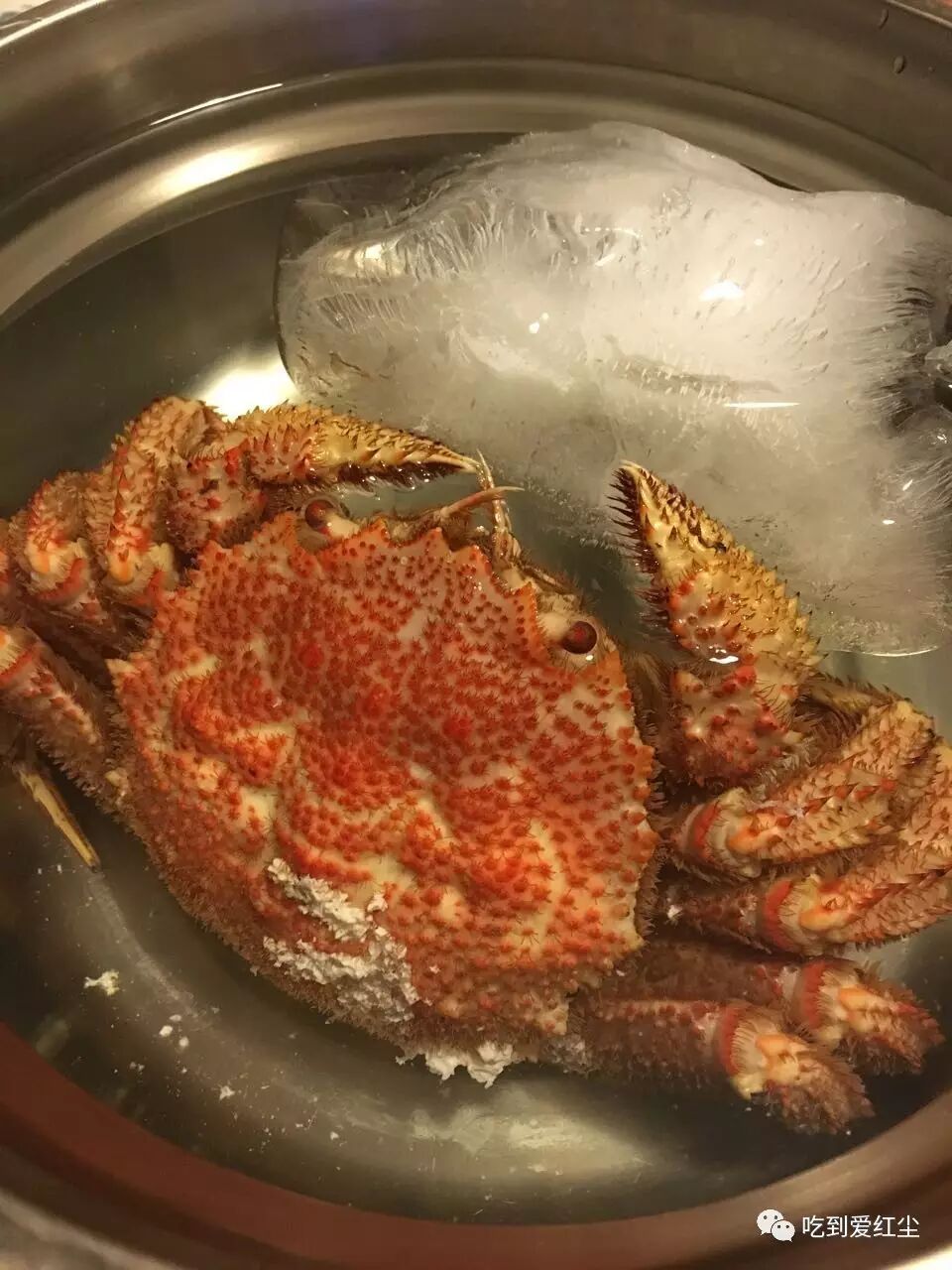 【好物推荐】朝鲜毛蟹