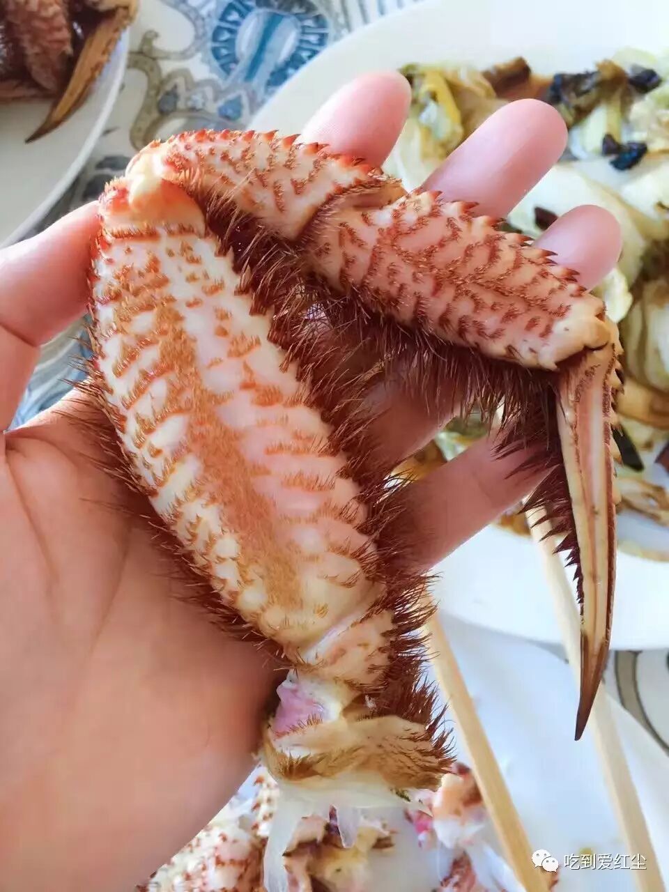 性感的大毛腿~ 掰下来别忘了先吸一口甜甜的汁.