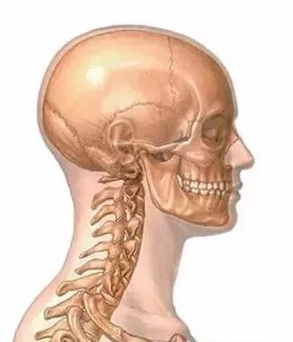 外展枕怎么使用总结的很全的针刀治疗要点，学针刀的人不容错过_https://www.jmylbn.com_新闻资讯_第7张