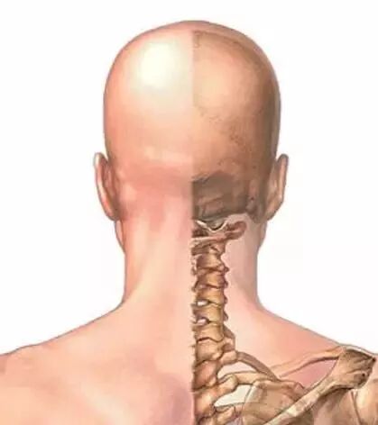 外展枕怎么使用总结的很全的针刀治疗要点，学针刀的人不容错过_https://www.jmylbn.com_新闻资讯_第8张