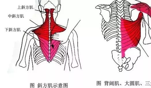 外展枕怎么使用总结的很全的针刀治疗要点，学针刀的人不容错过_https://www.jmylbn.com_新闻资讯_第28张