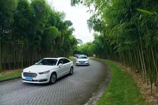 到高原、江畔和坝上草原清凉一夏