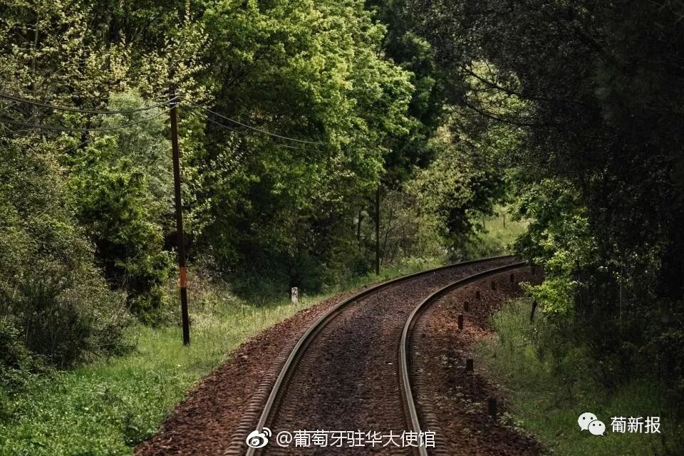 一辆充满传奇历史的复古列车——葡萄牙总统号专列