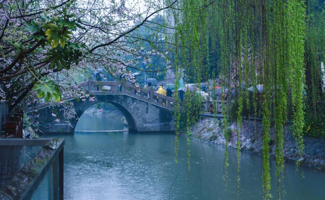 小秦淮河春雨绵绵 刘江瑞 摄 (36).jpg