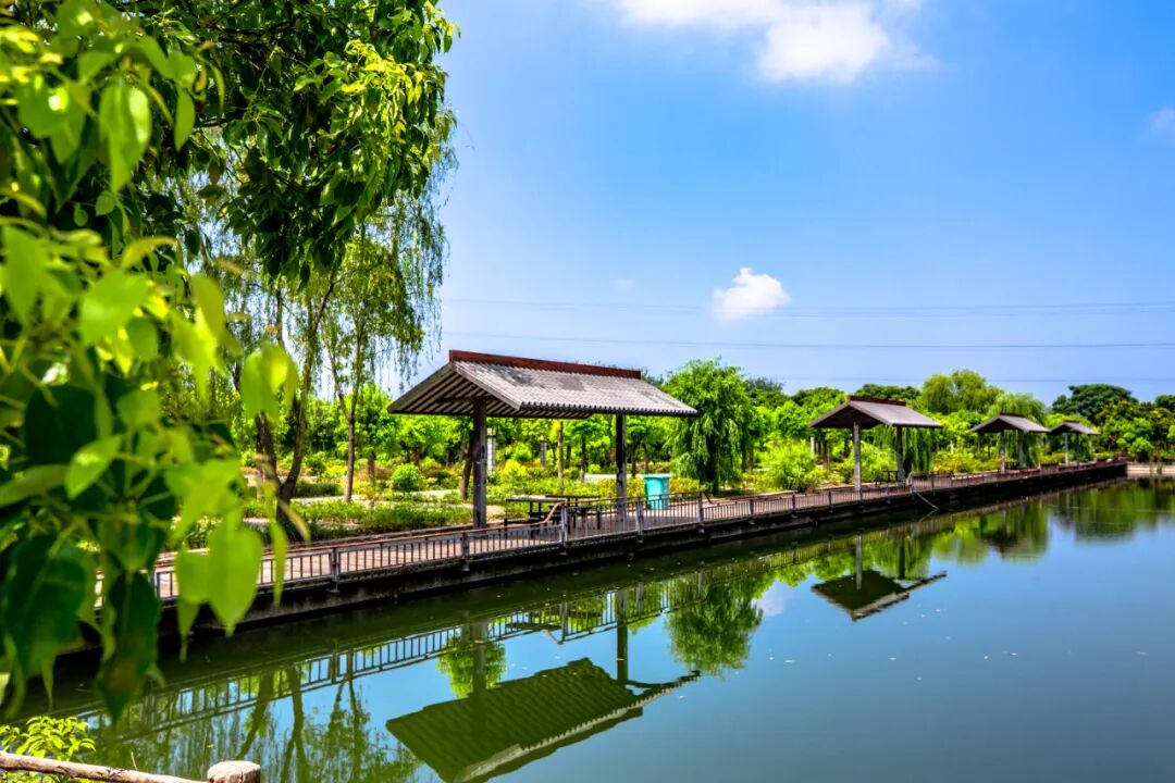 子婴庄园2.jpg