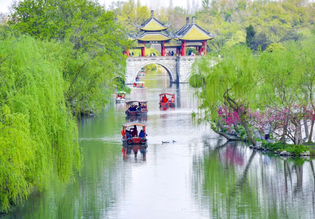 春日瘦西湖 刘江瑞 摄 (2).JPG
